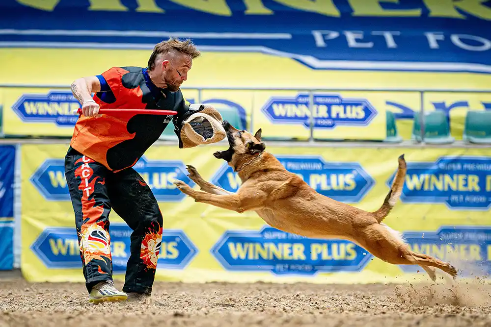 Jany Böhm with Hype is Gratsiano